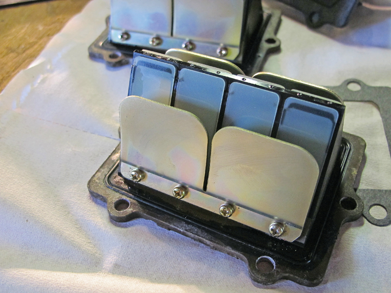 Engine Reeds 101 SnowGoer