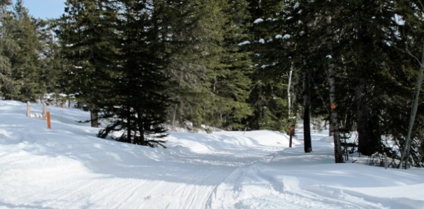Snowmobiling Black Hills