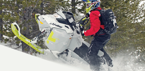 Snowmobile Snow Machine Sled Cover Compatible for Ski Doo Bombardier Renegade Backcountry X E-TEC 800R for Model Years 2011-2014 200 Denier Storage Cover. 