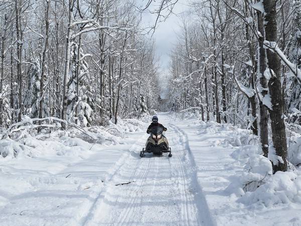 Moosewalk snowmobile trail