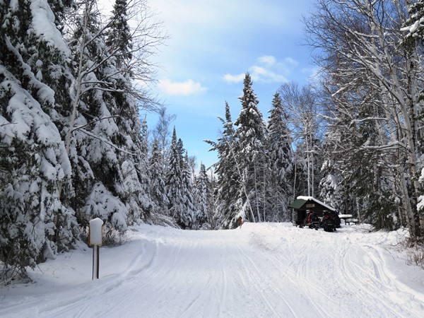 Northern Minnesota snowmobile trail