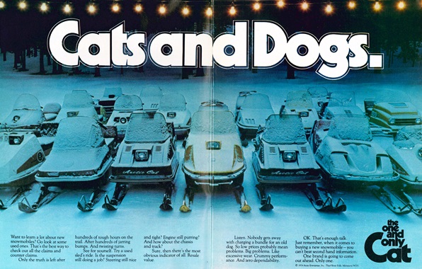 1974 Arctic Cat ad
