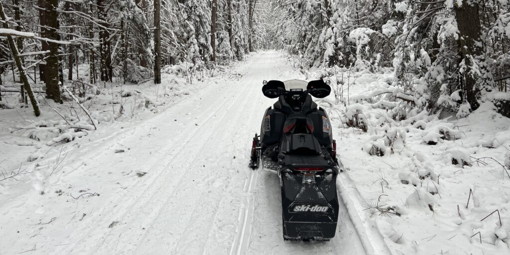 Fresh trail
