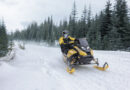 BRP 20th Anniversary Snowmobiles—Celebrate Race-Bred Performance with X-RS and Rave RE