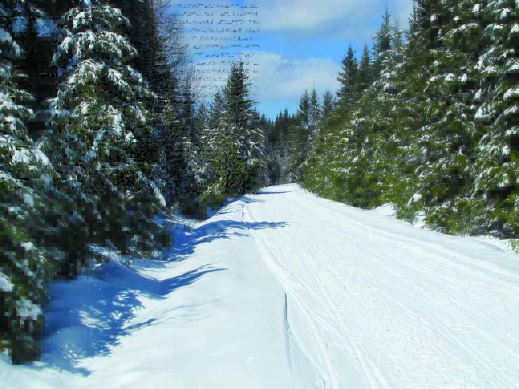 2026 Snowmobile Vacation Guide